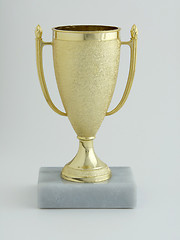 Image showing Trophy Cup
