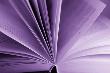 Image showing opened book