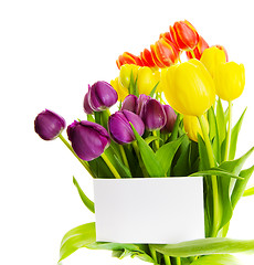 Image showing Tulip gift