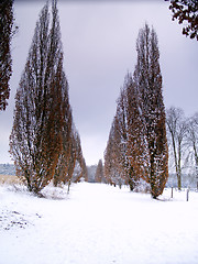 Image showing Winter alley