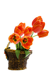 Image showing Flower basket