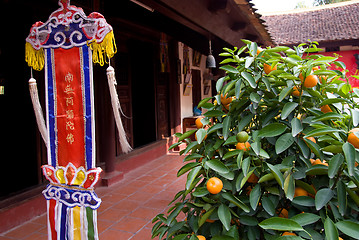 Image showing Orange tree and religious pennant at Buddhist temple