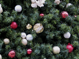 Image showing Christmas Tree