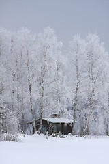 Image showing House in winter