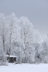 Image showing House in winter