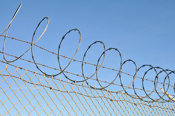 Image showing Razor wire