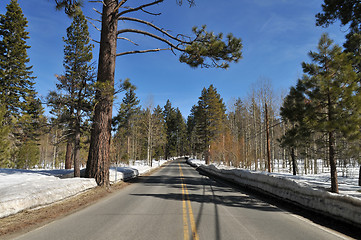 Image showing Winter road