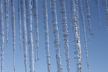 Image showing Icicles