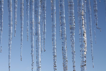 Image showing Icicles