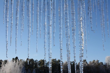 Image showing Icicles