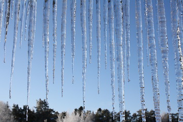 Image showing Icicles