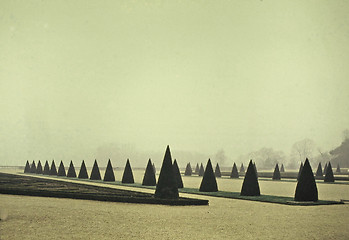 Image showing Foggy day in Versailles