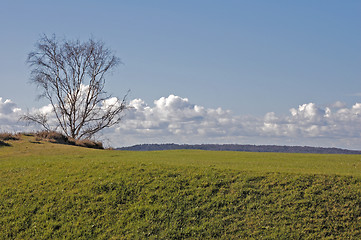 Image showing Early spring