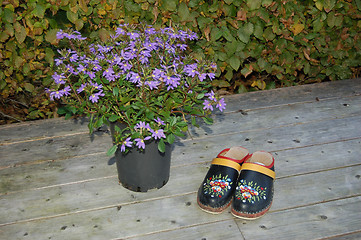 Image showing Clogs
