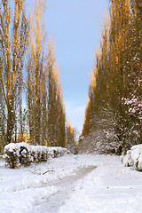 Image showing Winter lane