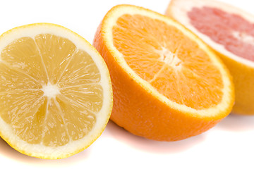 Image showing  lemon, orange and grapefruit