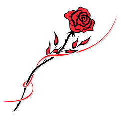 Image showing Red rose