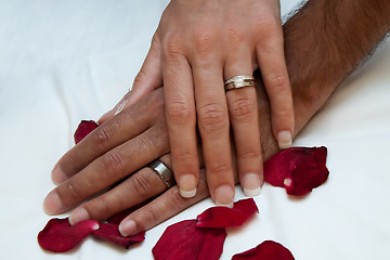 Image showing Couple's hands with wedding ring