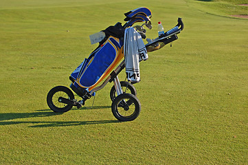 Image showing Golf bag