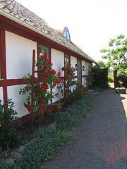 Image showing Roses on wall.