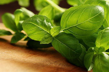 Image showing fresh basil