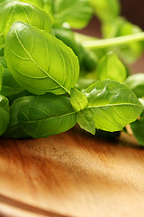 Image showing fresh basil