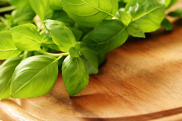 Image showing fresh basil