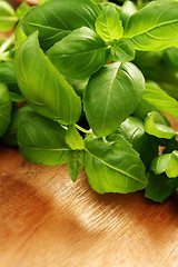 Image showing fresh basil