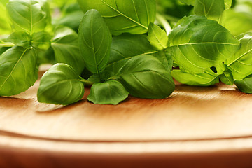 Image showing fresh basil