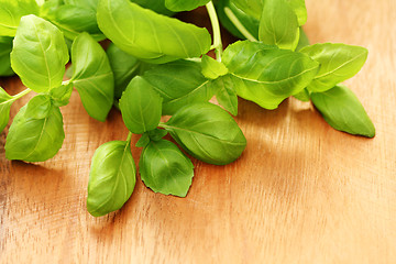 Image showing fresh basil