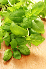 Image showing fresh basil