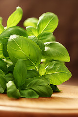 Image showing fresh basil