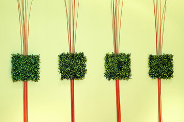 Image showing Green grass decor