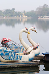 Image showing Swan pedal boats in Hanoi