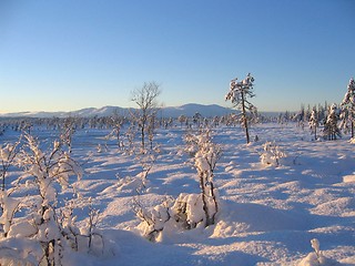 Image showing winter landscape