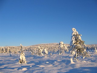 Image showing Winter landscape