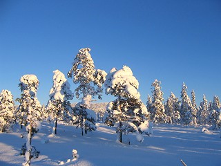 Image showing winter landscape