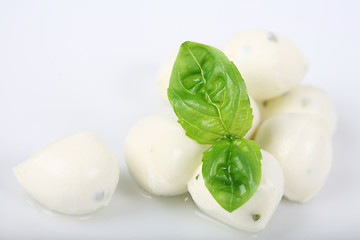 Image showing Mozzarella with basil