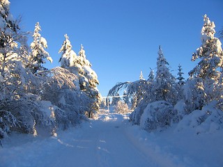 Image showing Winter road