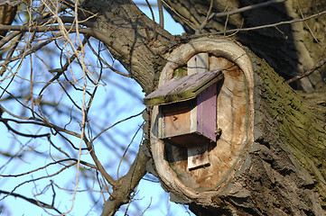 Image showing Nesting Box