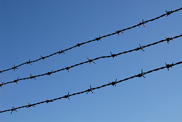 Image showing Barbed wire