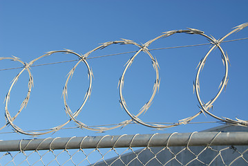 Image showing Razor wire