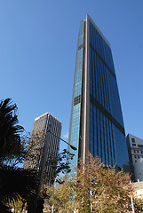 Image showing Office tower