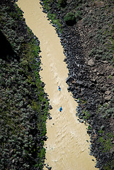 Image showing Rio Grande rapids