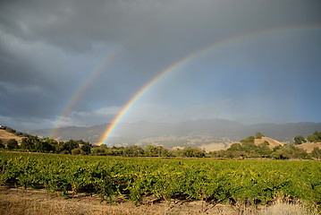 Image showing Rainbow