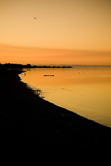 Image showing Beach Sunset