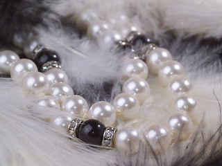 Image showing pearl necklace