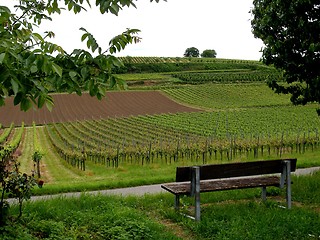 Image showing bench