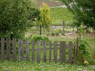 Image showing garden