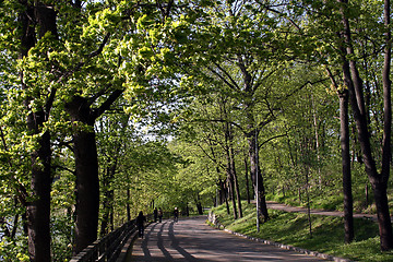 Image showing Park in Helsinki